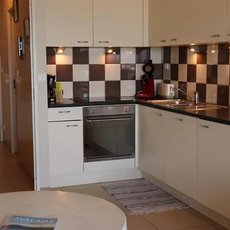 Climatise Avec Terrasse, Parking, Animaux Admis - Fr-1-100-184 * Cavalaire-sur-Mer